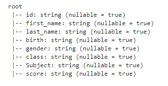 Apache Spark Schema